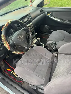 Toyota Corolla 2005 Gris