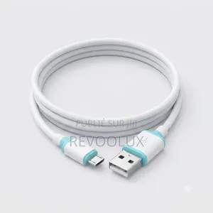 🔋 Chargeur Universel BWOO CDA60V + Câble Micro USB