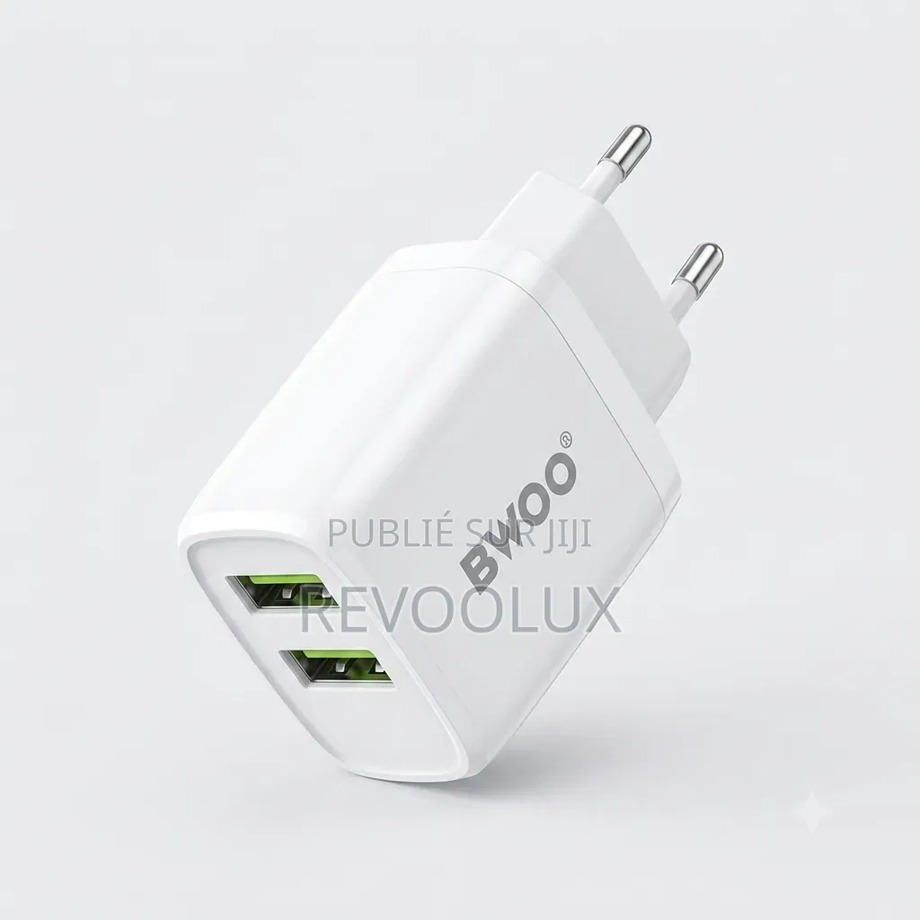 🔋 Chargeur Universel BWOO CDA60V + Câble Micro USB