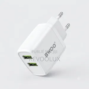 🔋 Chargeur Universel BWOO CDA60V + Câble Micro USB