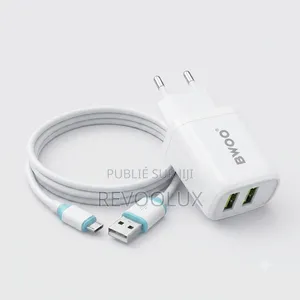🔋 Chargeur Universel BWOO CDA60V + Câble Micro USB