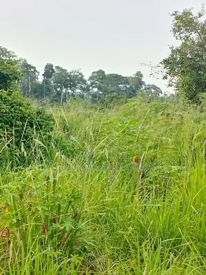 Terrains a Vendre Yamoussoukro