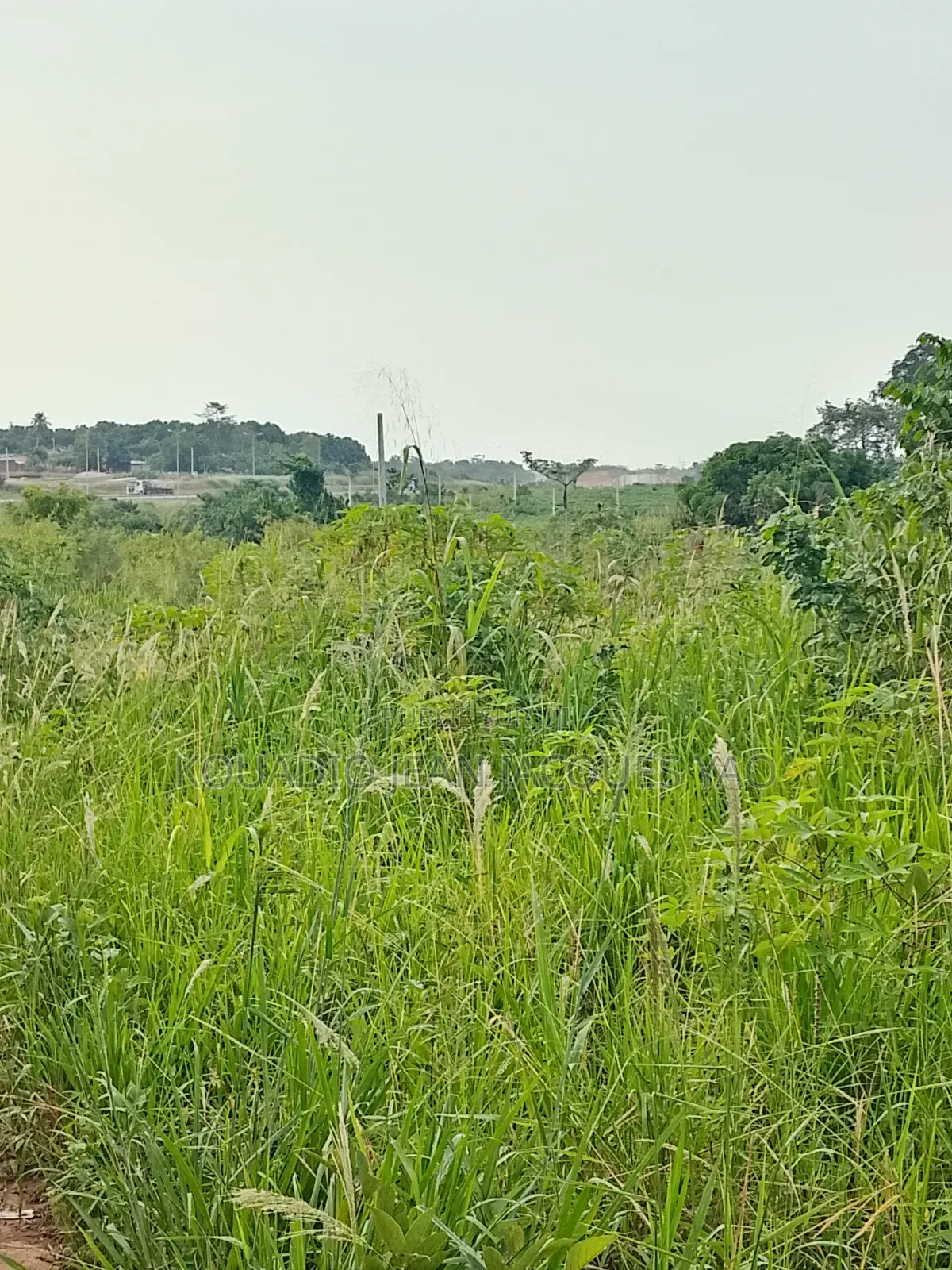 Terrains a Vendre Yamoussoukro