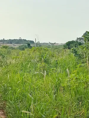 Terrains a Vendre Yamoussoukro