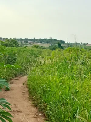 Terrains a Vendre Yamoussoukro