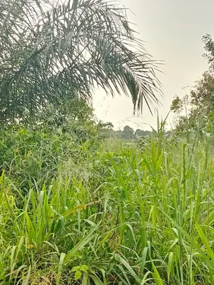 Terrains a Vendre Yamoussoukro