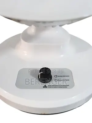 Ventilateur De Circulation D’Air Rechargeable/Fan-601