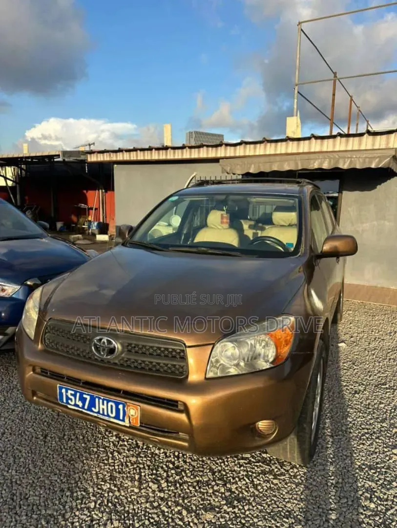 Toyota RAV4 2008 Gris