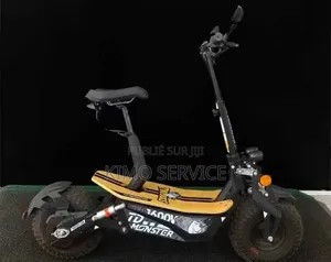 Vélo Électrique