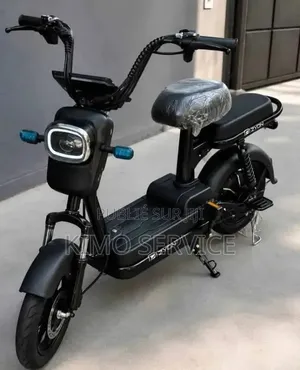 Moto Électrique
