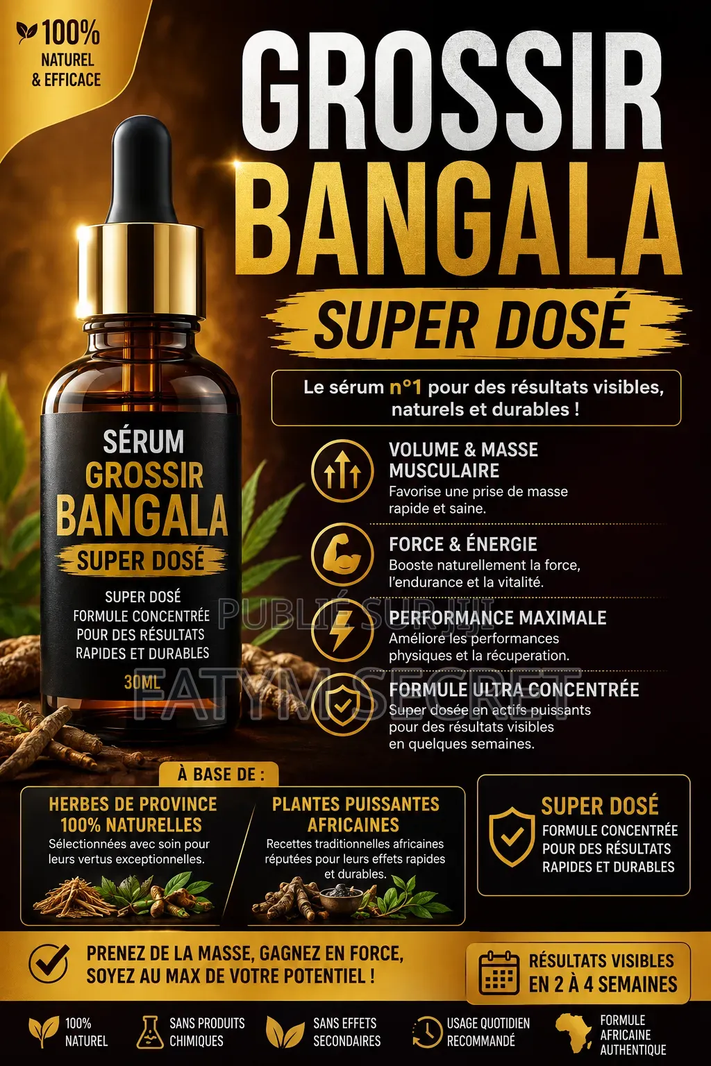 Gros Bangala (Super Grossissante)
