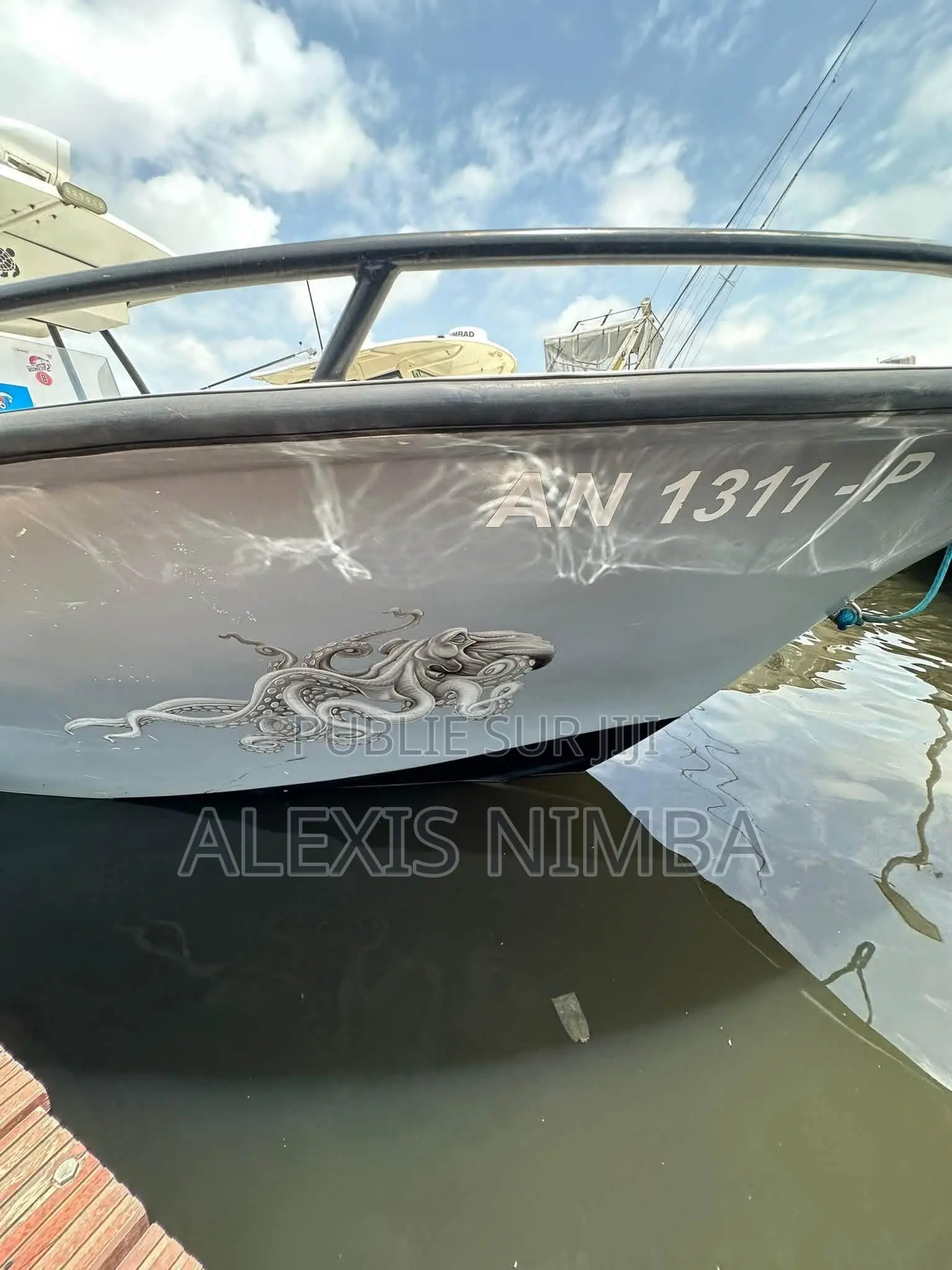 À Vendre Bateau Pêche Et Plaisance 7m50 2x115 Mercury 4 Temp 48million