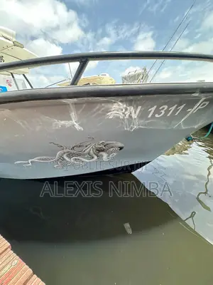 À Vendre Bateau Pêche Et Plaisance 7m50 2x115 Mercury 4 Temp 48million