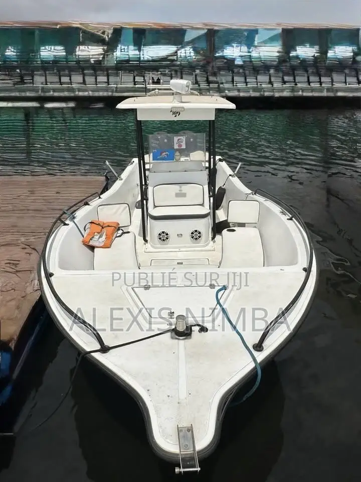 À Vendre Bateau Pêche Et Plaisance 7m50 2x115 Mercury 4 Temp 48million