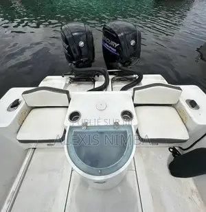 À Vendre Bateau Pêche Et Plaisance 7m50 2x115 Mercury 4 Temp 48million