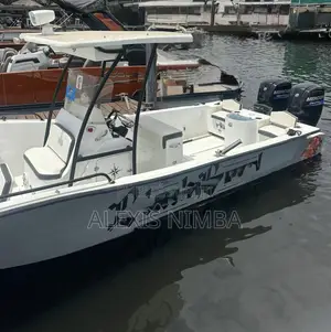 À Vendre Bateau Pêche Et Plaisance 7m50 2x115 Mercury 4 Temp 48million