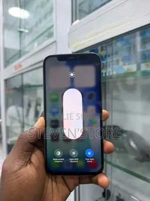 Apple iPhone 11 Pro Max 64 GB Autre