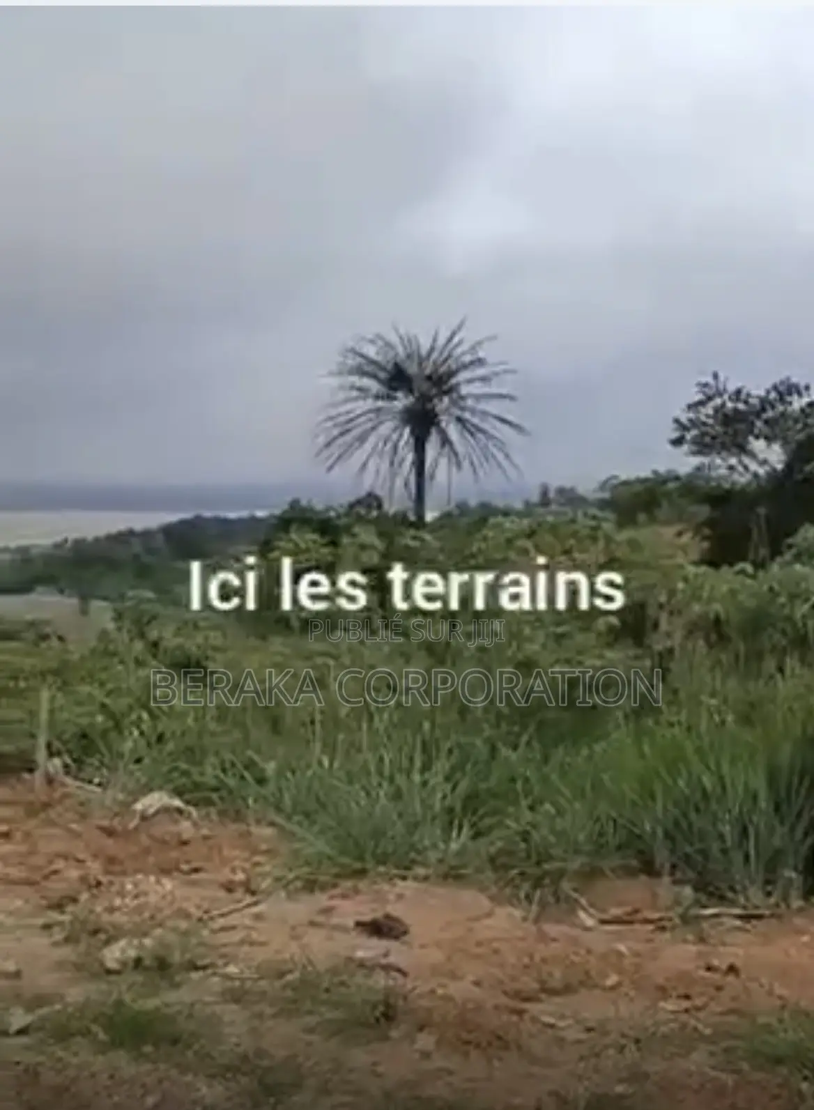 🏡 *À VENDRE – BINGERVILLE ADJIN* 📍 Bingerville – Adjin 📐 *4 Terrains