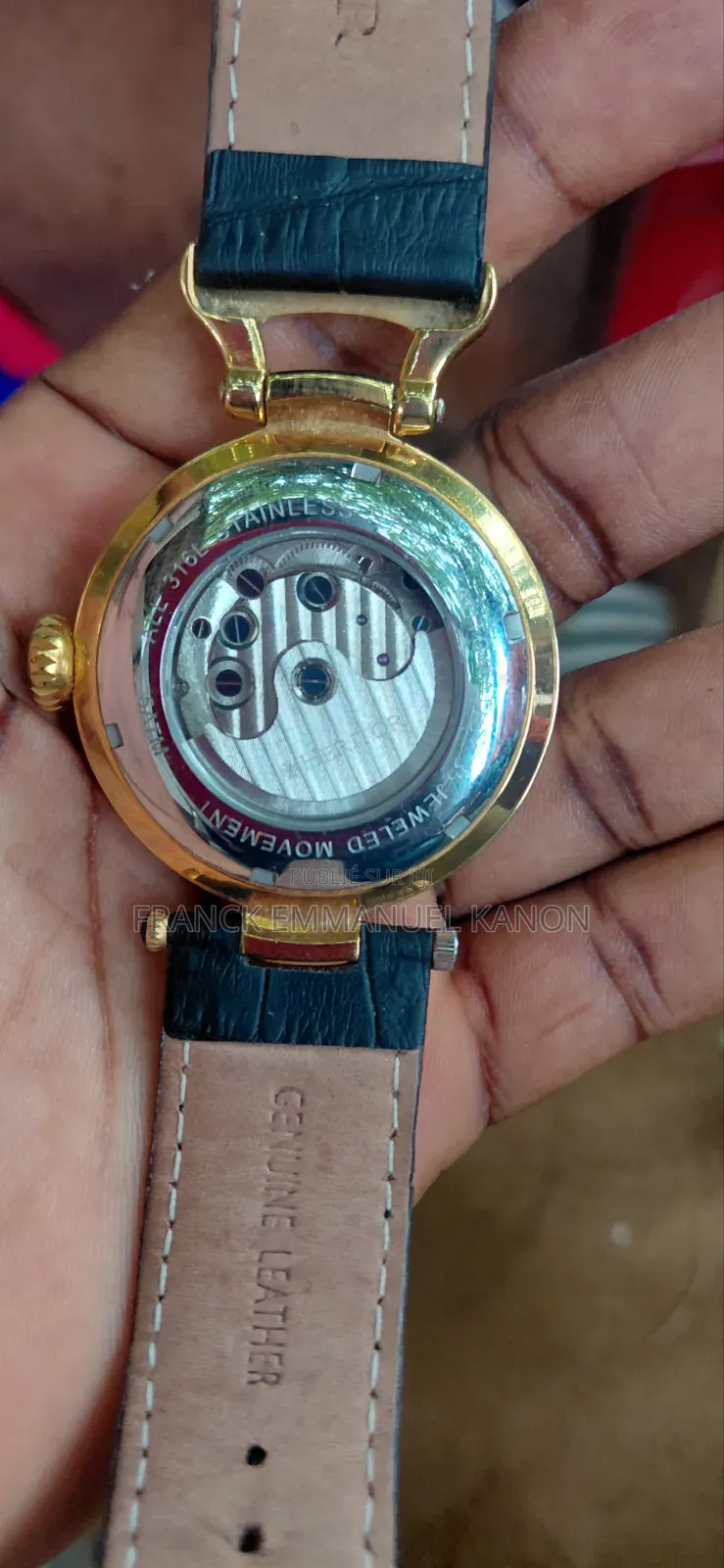 Heritor Automatique Montre