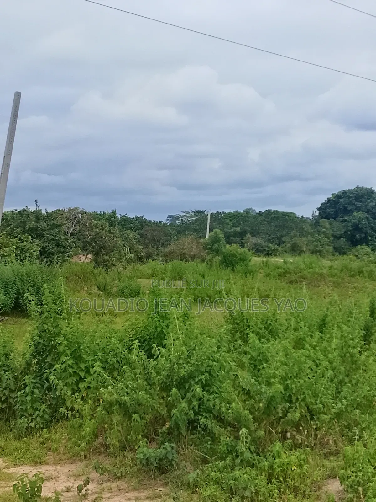 Terrains a Vendre a Yamoussoukro Précisément N'debo