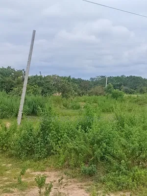 Terrains a Vendre a Yamoussoukro Précisément N'debo