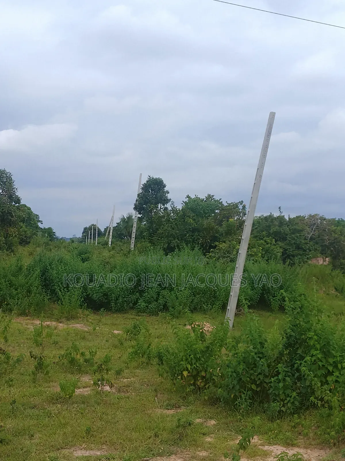 Terrains a Vendre a Yamoussoukro Précisément N'debo