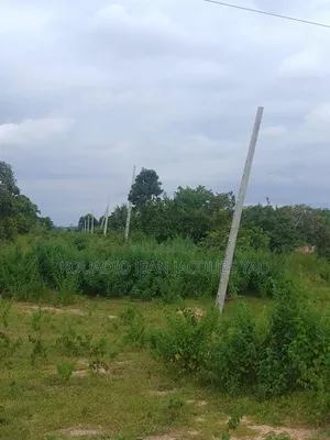Terrains a Vendre a Yamoussoukro Précisément N'debo