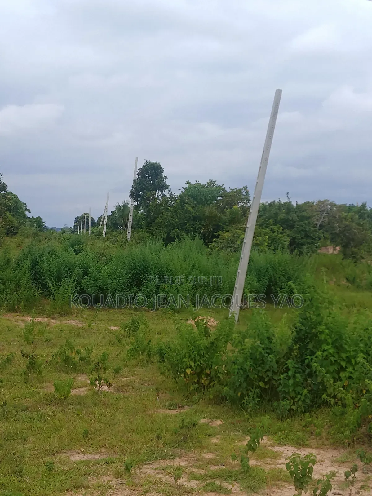 Terrains a Vendre a Yamoussoukro Précisément N'debo