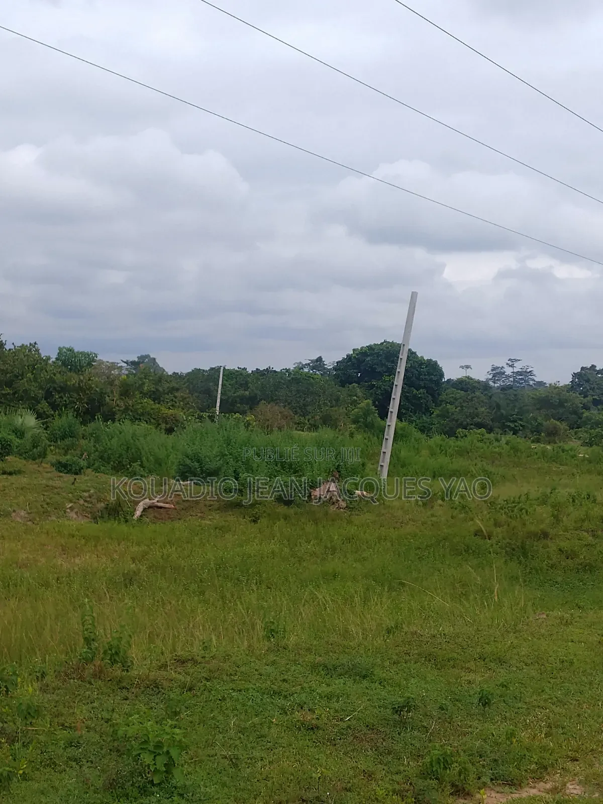 Terrains a Vendre a Yamoussoukro Précisément N'debo