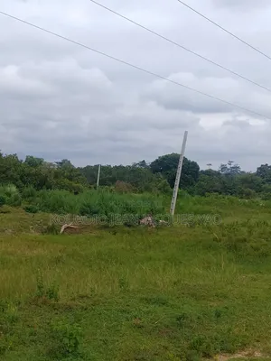 Terrains a Vendre a Yamoussoukro Précisément N'debo