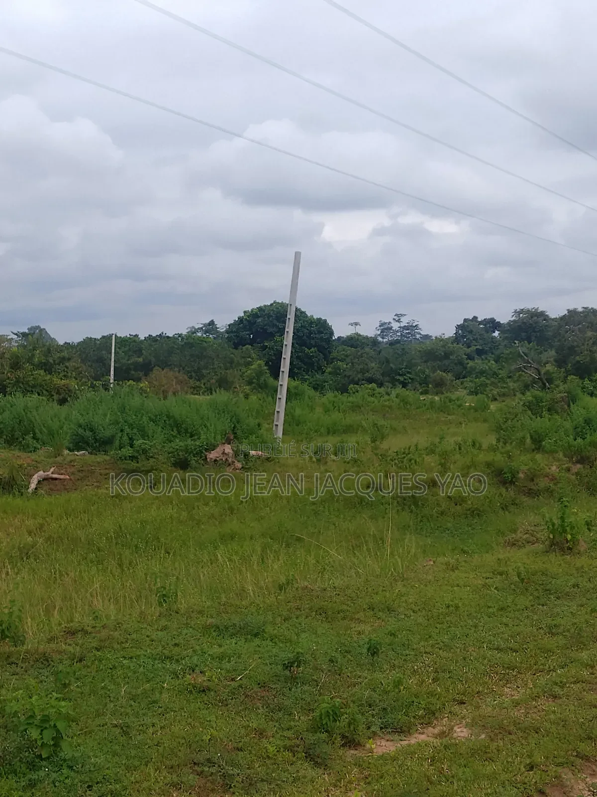 Terrains a Vendre a Yamoussoukro Précisément N'debo