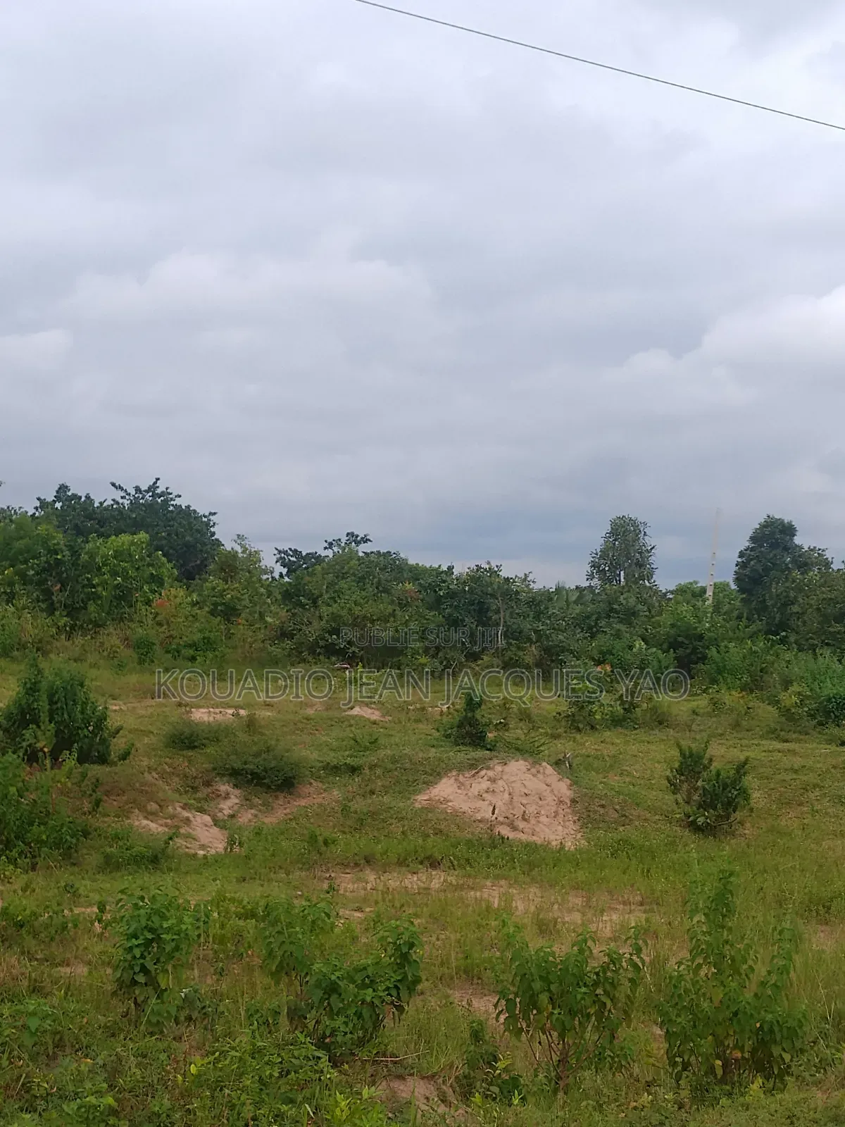 Terrains a Vendre a Yamoussoukro Précisément N'debo