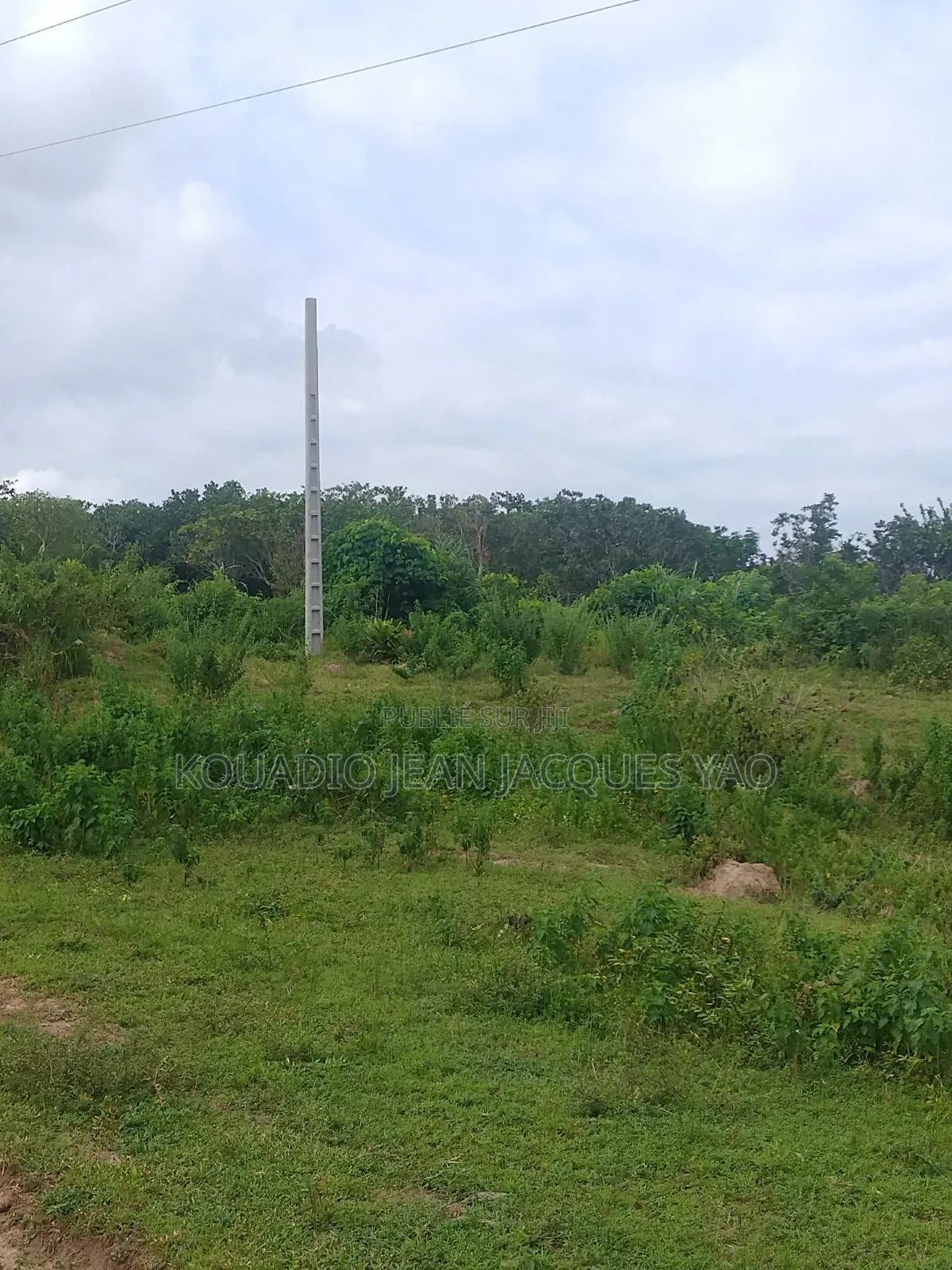 Terrains a Vendre a Yamoussoukro Précisément N'debo