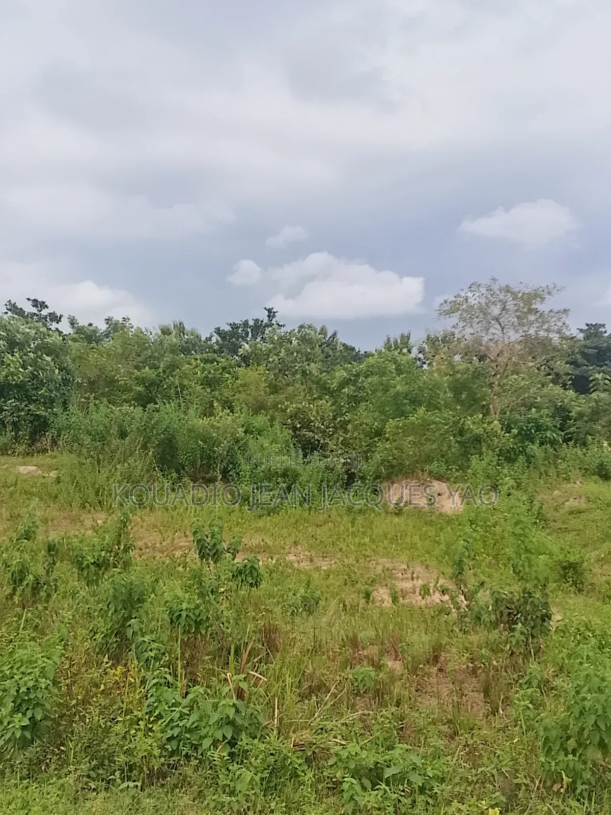 Terrains a Vendre a Yamoussoukro Précisément N'debo
