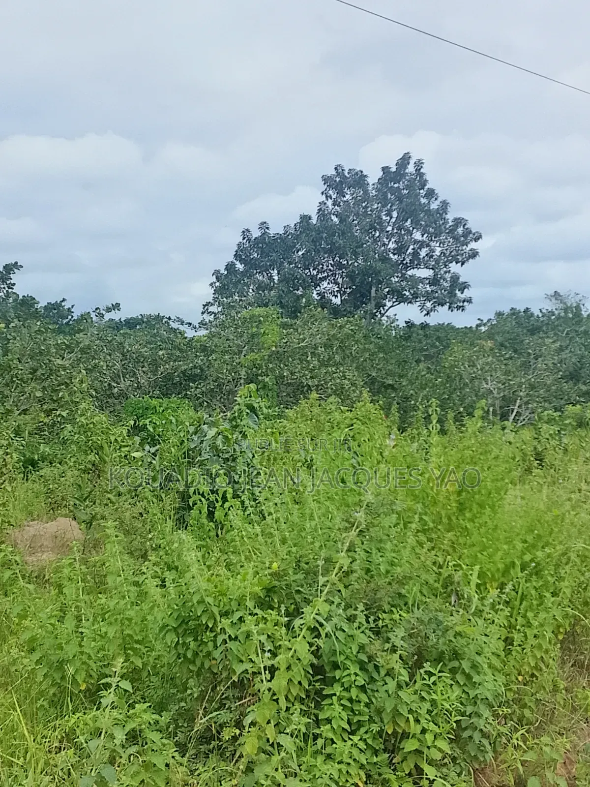 Terrains a Vendre a Yamoussoukro Précisément N'debo