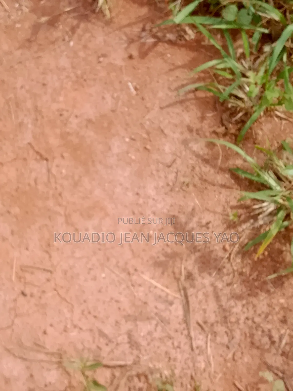 Terrains a Vendre a Yamoussoukro Précisément N'debo
