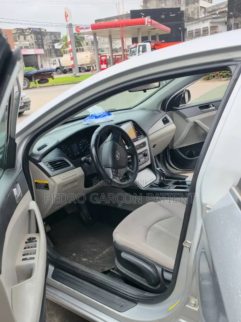 Hyundai Sonata 2018 Gris