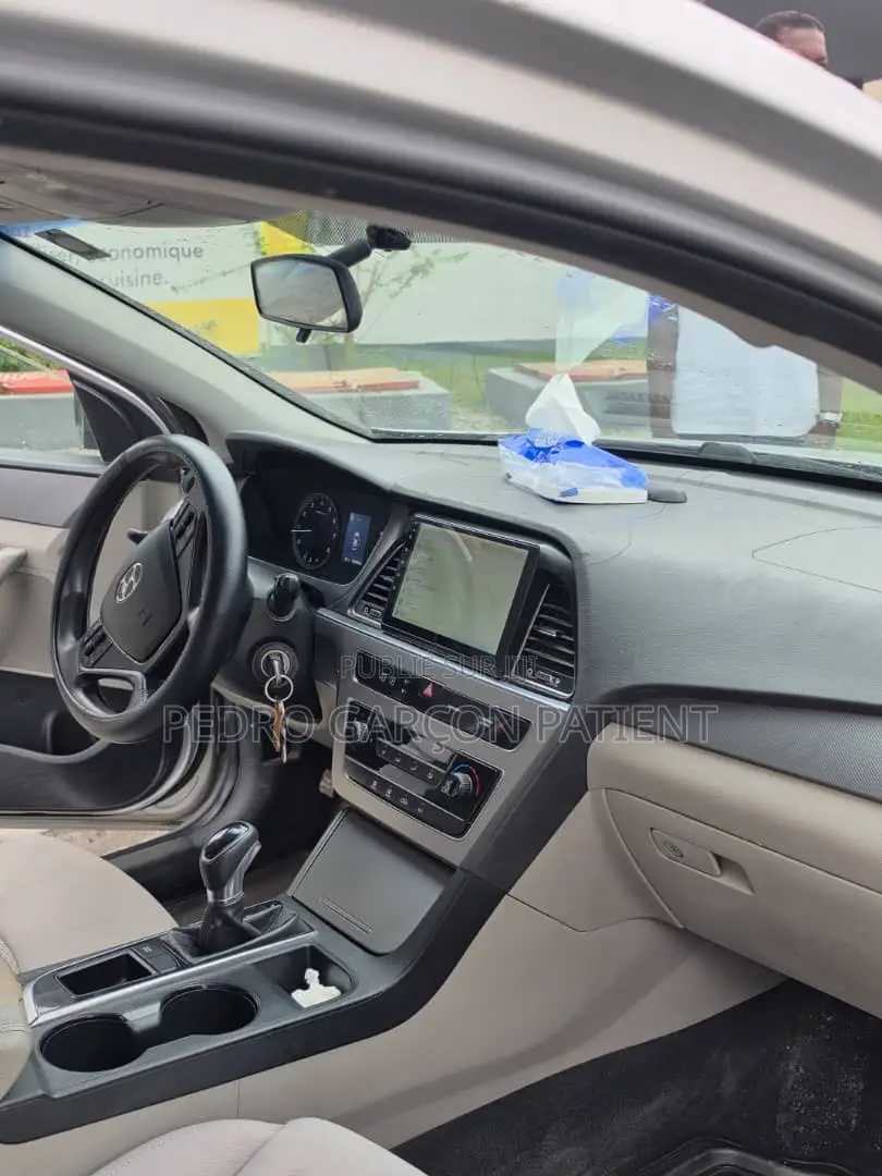 Hyundai Sonata 2018 Gris