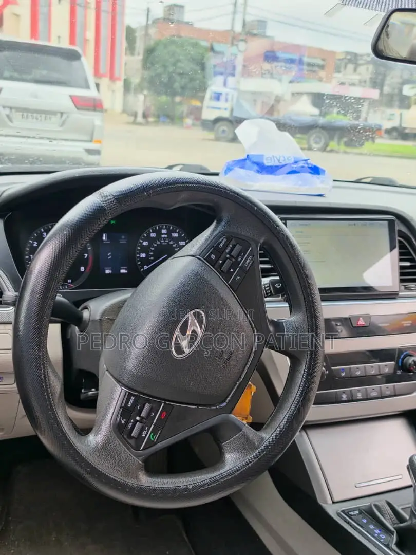 Hyundai Sonata 2018 Gris