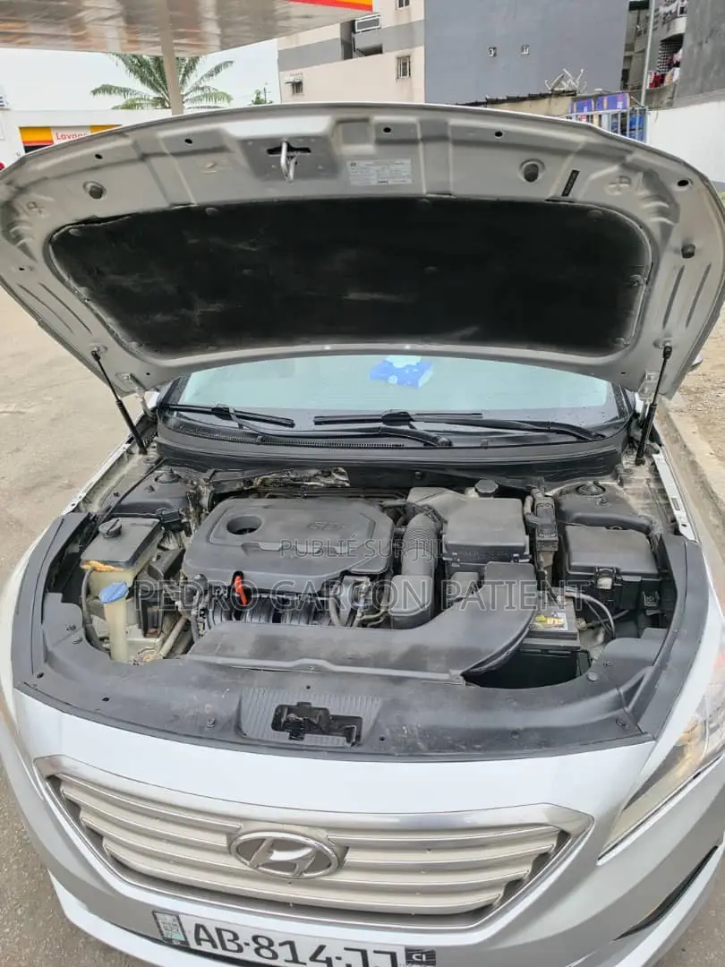 Hyundai Sonata 2018 Gris