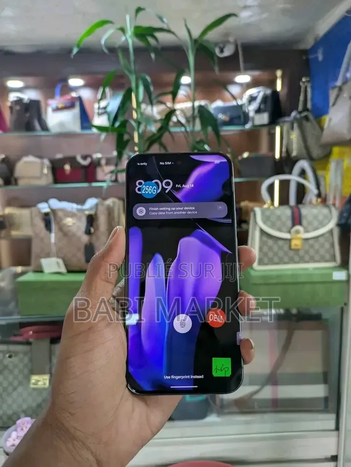 Nouveau Google Pixel 9 Pro 256 GB Autre