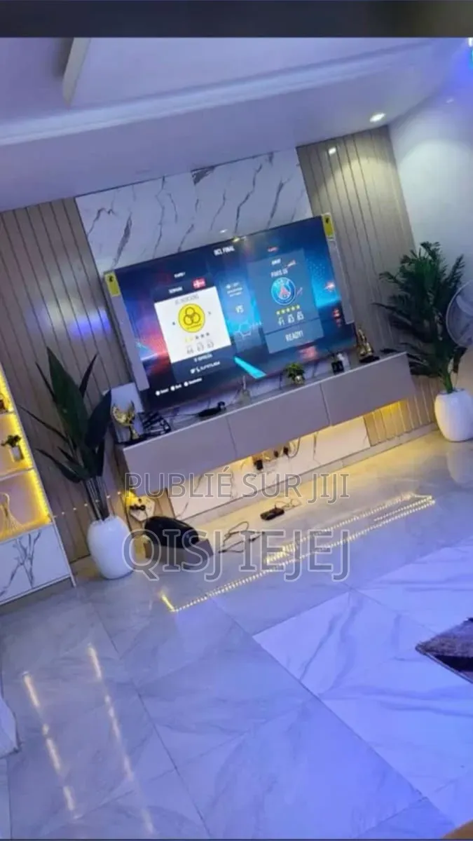 Télévision