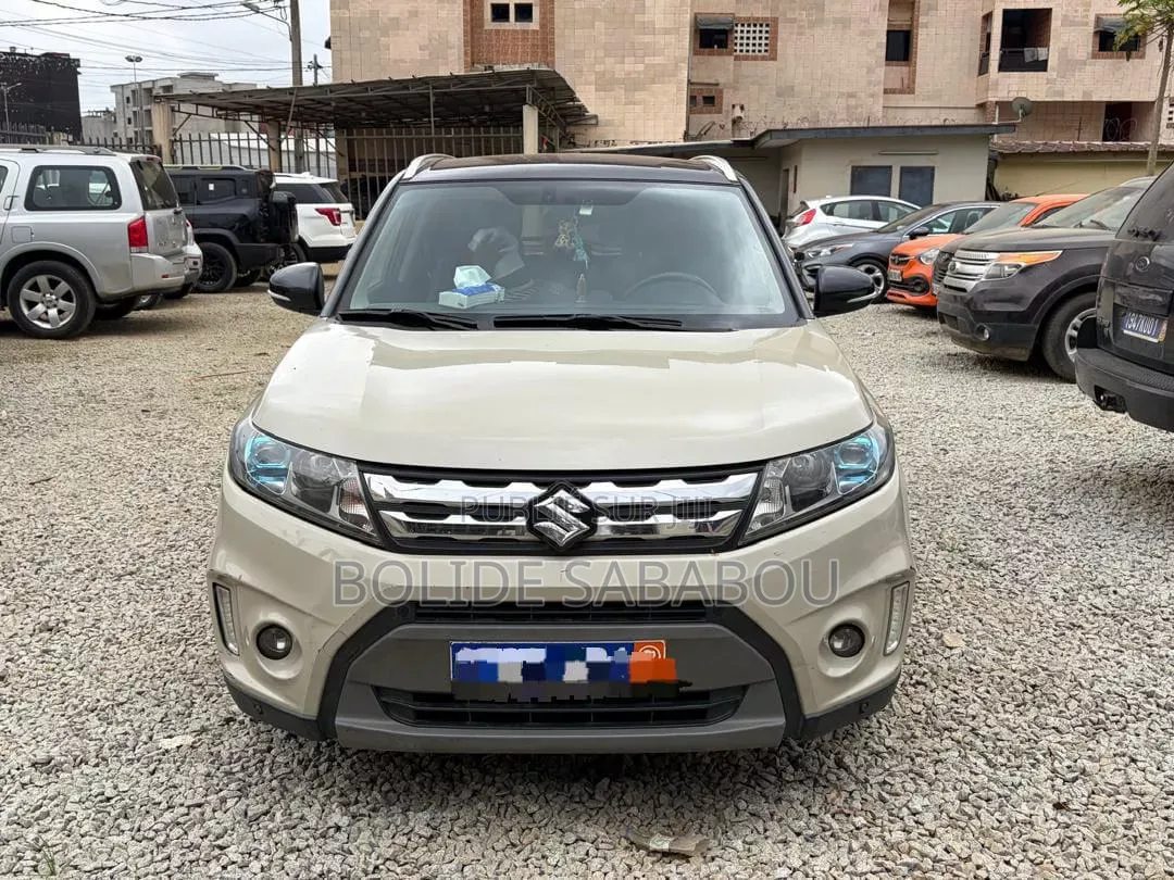 Suzuki Vitara 2018 Gris
