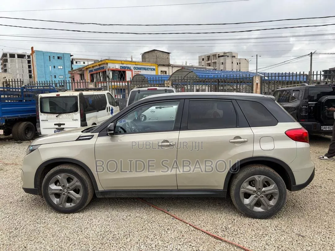 Suzuki Vitara 2018 Gris