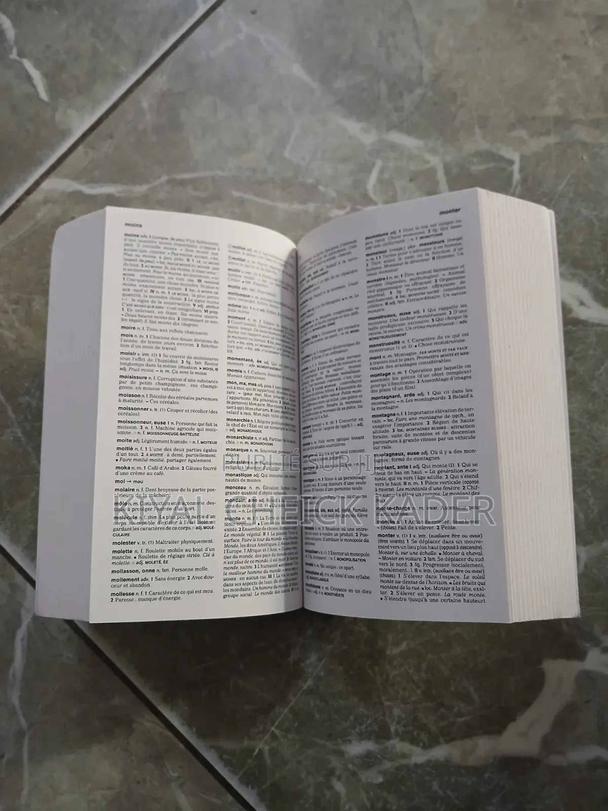 Le Robert Dictionnaire De Français