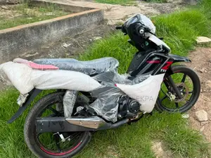 Nouveau TVS HLX 125 2025 Autre