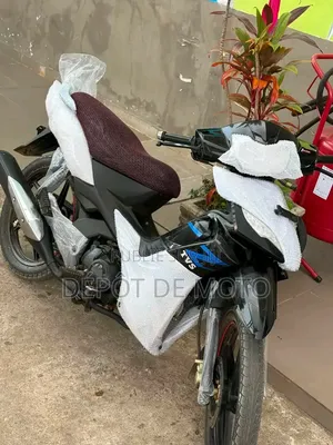 Nouveau TVS Rockz 125 2024 Bleu