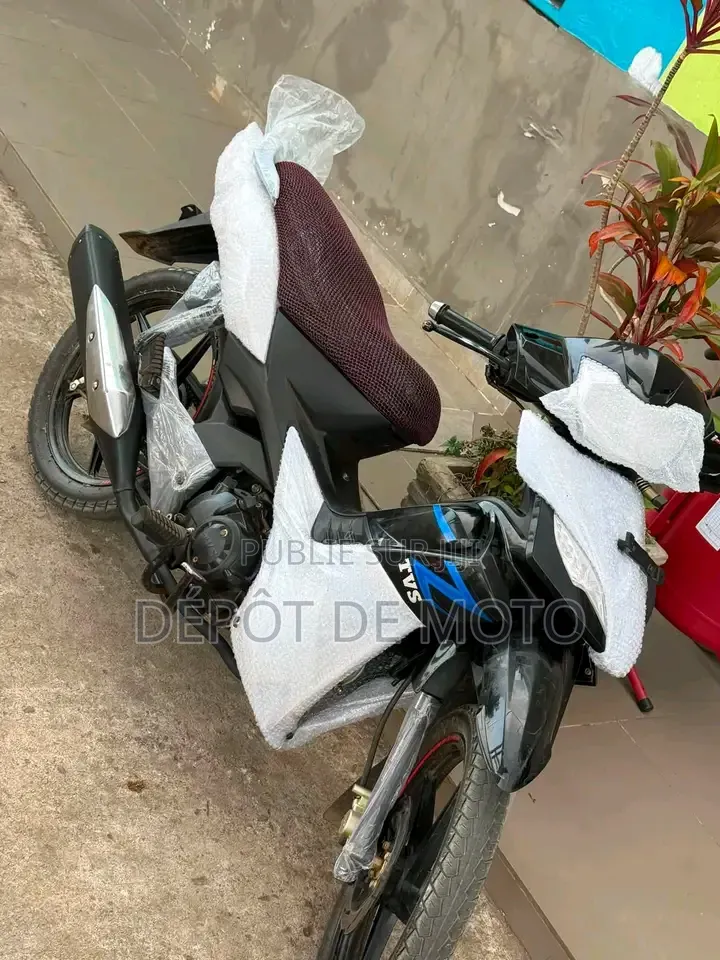 Nouveau TVS Rockz 125 2024 Bleu