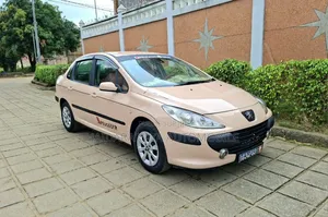 Peugeot 307 2010 Autre