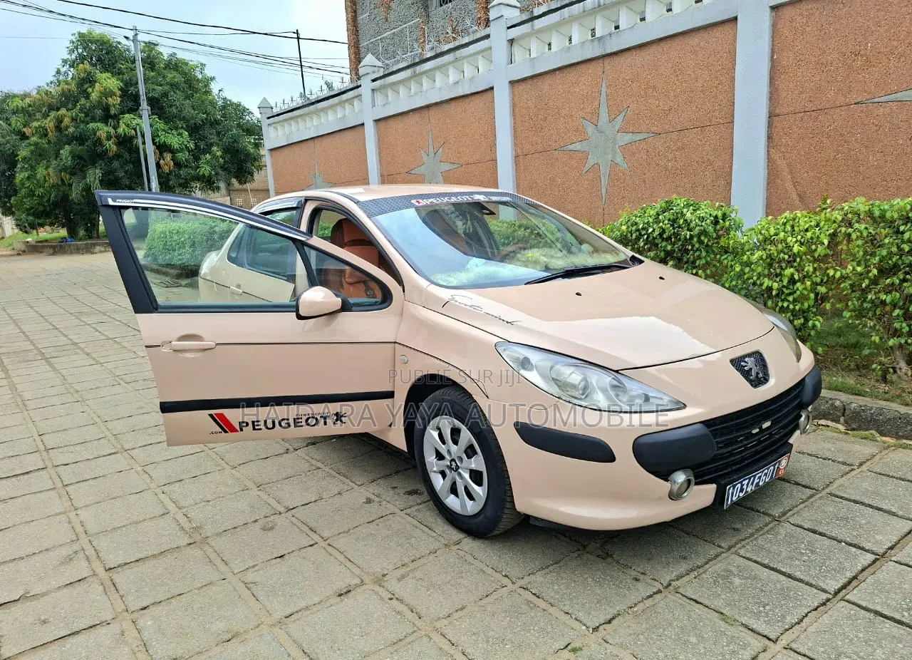 Peugeot 307 2010 Autre